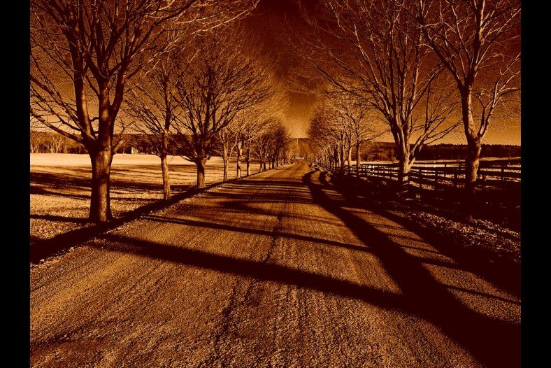 Desolation Road...