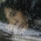 Behind the drops