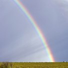 Pot of Gold