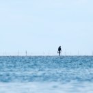 Walking on Water