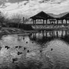 Kariya Park