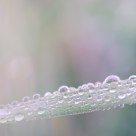 Pastel water drops
