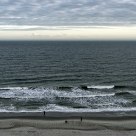 Shoreline Recreation