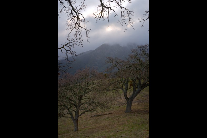 Mt. Diablo & Fog