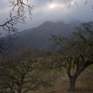 Mt. Diablo & Fog