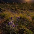 Memories of a cold sunset