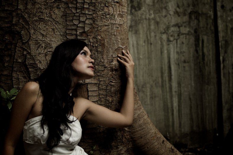 Wood Fairy 1