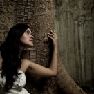 Wood Fairy 1