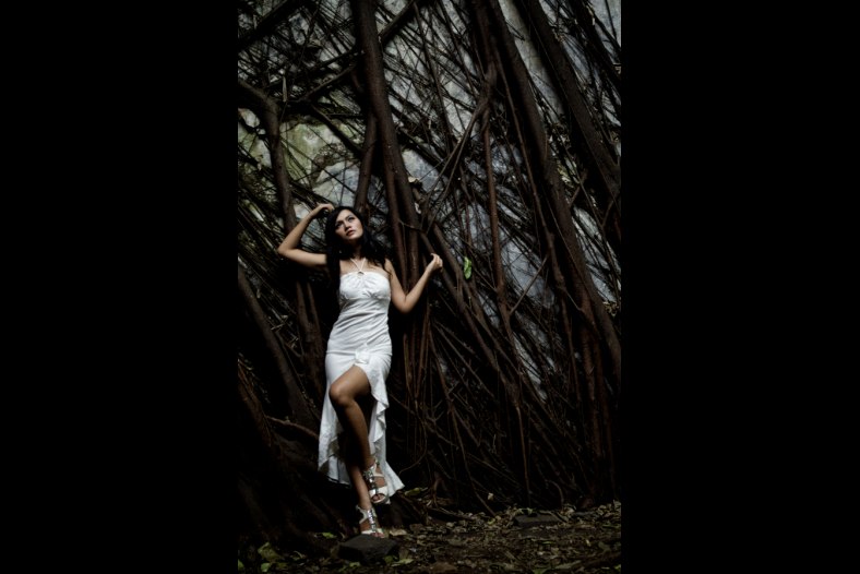 Wood Fairy 2
