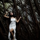 Wood Fairy 2