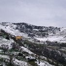 The house in the country
