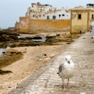Walk
