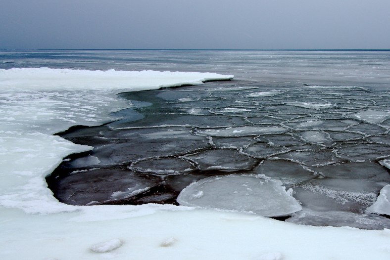 Frozen Balitic