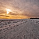 Lonely Road