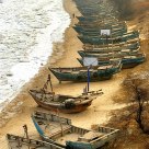 Fishing boats