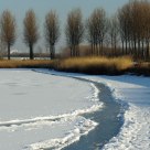Winterlandscape