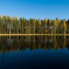 Autumn reflections