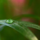 Drop of water 2