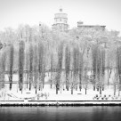 Turin & Snow