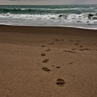 Steps
