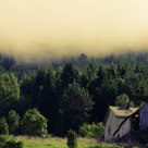 Fog