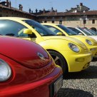 VW New Beetle convention