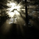 Dust-light