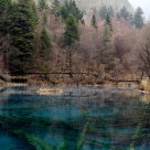 Lakeside