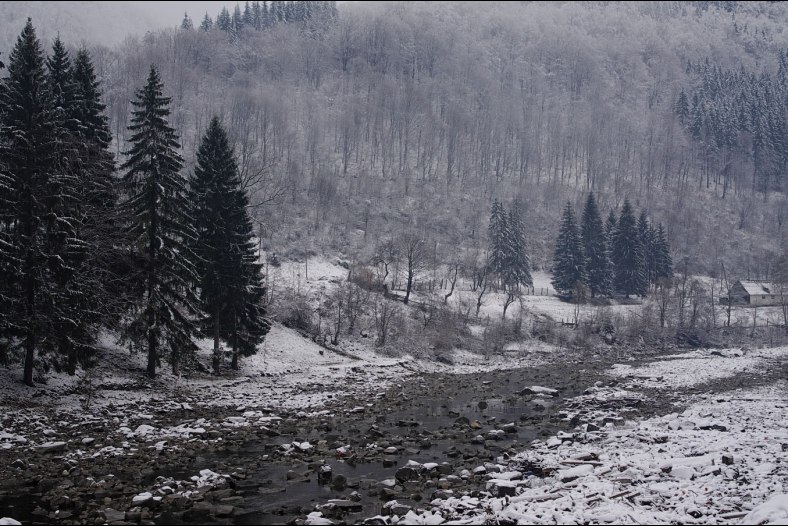 Transcarpathia