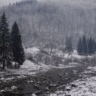 Transcarpathia