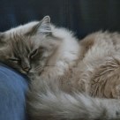 Le repos du sage