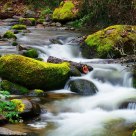 Ashland Creek