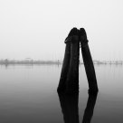 Fog