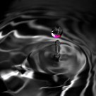 Black Water
