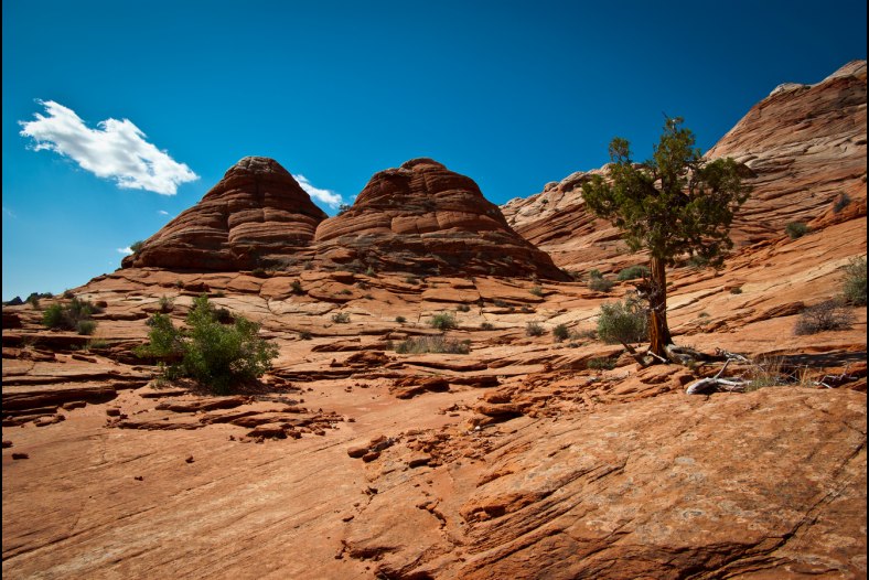 Twin Buttes