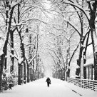 Turin & Snow