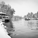 Turin & Snow