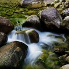 water rhythm (huangshan)