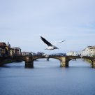 Santa Trinita 
