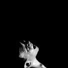 Scream