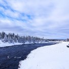 Winter Wonderland