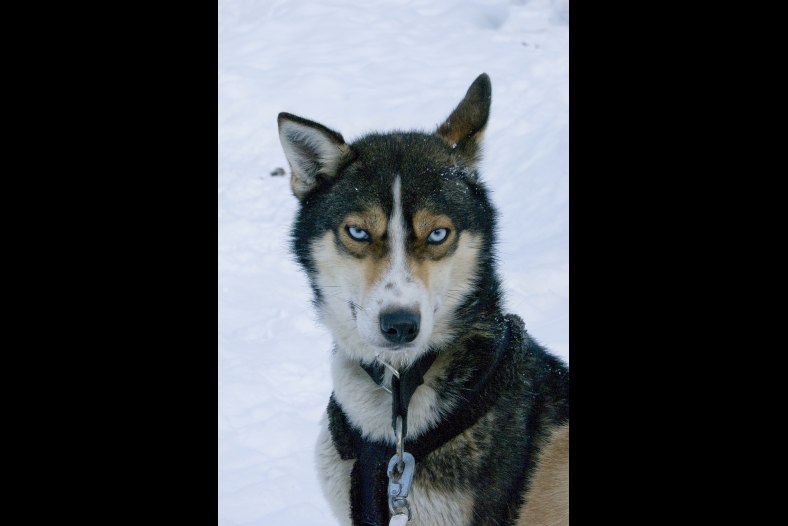 strange eyes