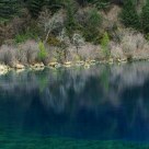 Lakeside