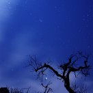 Muerte a la luz de la Luna