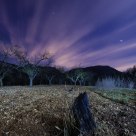 Tierra quemada