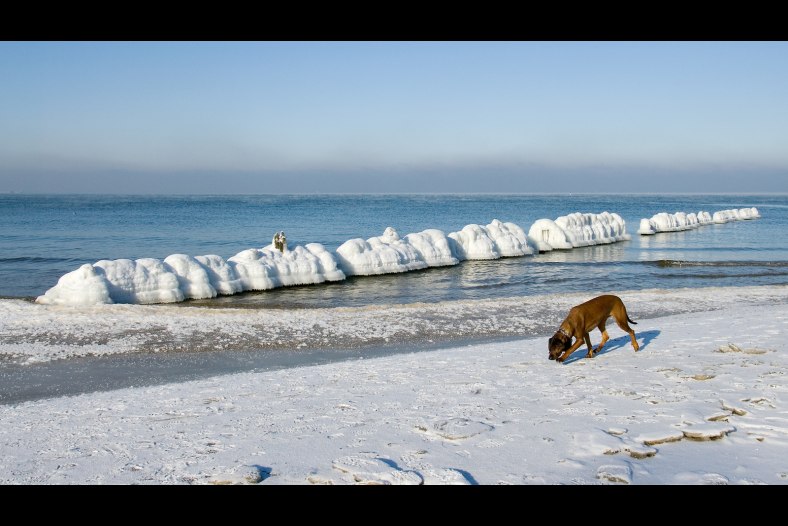 What a frost!
