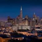 Night Lights