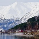 Winter in the fjord