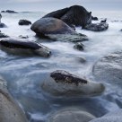 Foggy waters