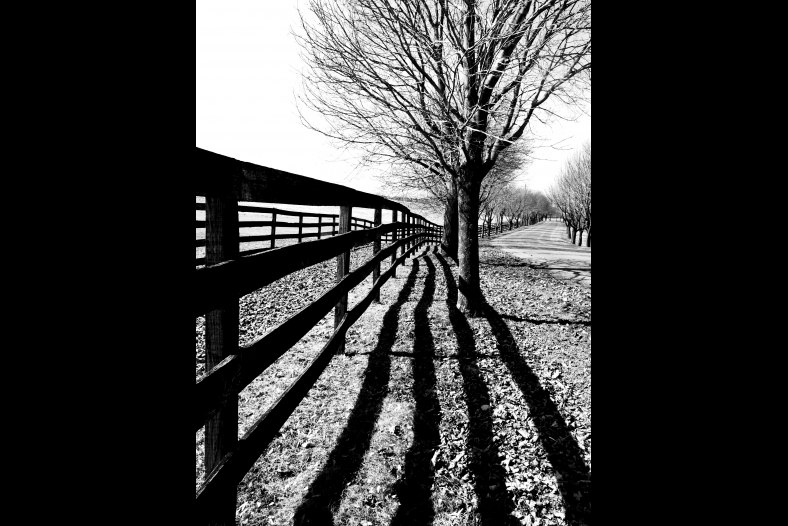 Convergence